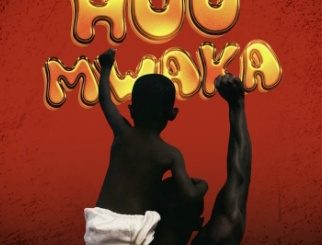 AUDIO Masauti - Huu Mwaka DOWNLOAD