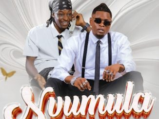 AUDIO Pest Vybz - Nvumula (RMX) Ft Pallaso