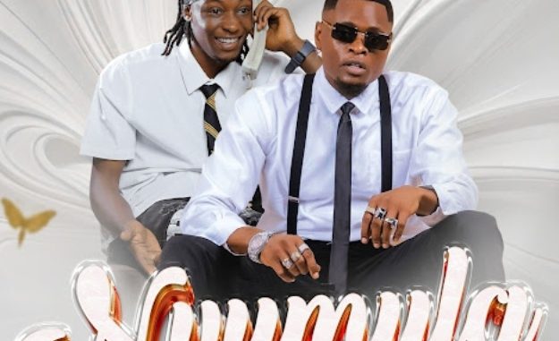 AUDIO Pest Vybz - Nvumula (RMX) Ft Pallaso