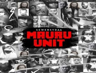 AUDIO Sewersydaa Mkadinali - Kijana Good Job Ft Domani Munga