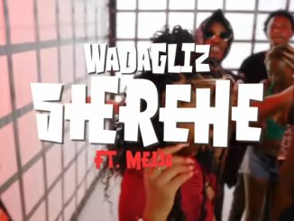 AUDIO Wadagliz - Sherehe Ft Mejja DOWNLOAD