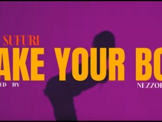 AUDIO Zzero Sufuri - Shake Your Body Ft Iyanii