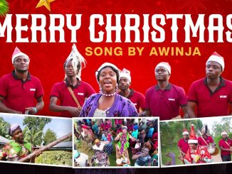 DOWNLOAD MP3 Awinja - Merry Christmas AUDIO