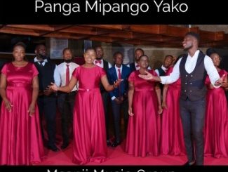 DOWNLOAD MP3 Msanii Music Group - Panga Mipango Yako