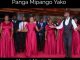 DOWNLOAD MP3 Msanii Music Group - Panga Mipango Yako