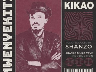 DOWNLOAD MP3 Mwenyekiti - Nimefunga Kikao