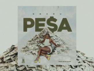 DOWNLOAD MP3 Ssaru - Pesa