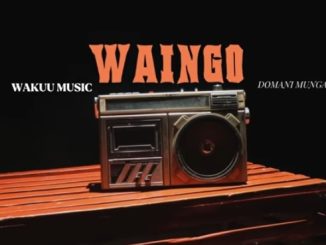 DOWNLOAD Wakuu Music - Waingo Ft Domani Munga