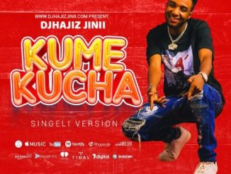 AUDIO DJHajiz Jinii - Kumekucha BEAT Singeli