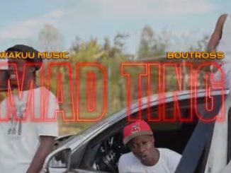 AUDIO Wakuu Music - Mad Ting Ft Boutross