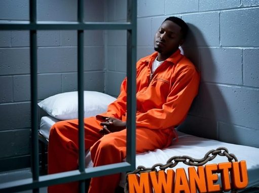 DOWNLOAD MP3 Barakah The Prince - Mwanetu