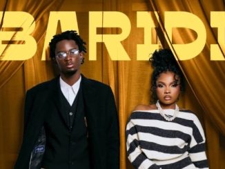 DOWNLOAD MP3 D Voice - Baridi Ft Zuchu