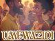 DOWNLOAD MP3 Flower Boy (Tz) - Umewazidi Ft Imuh