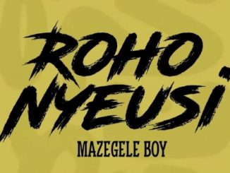 DOWNLOAD MP3 Mazegele Boy - Roho Nyeusi