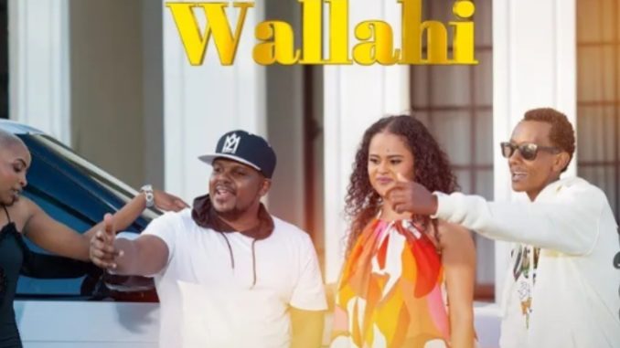 DOWNLOAD MP3 Nonini - Wallahi Ft Igee Afrika