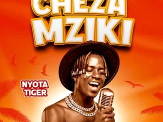 DOWNLOAD MP3 Nyota Tiger - Cheza Mziki
