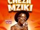 DOWNLOAD MP3 Nyota Tiger - Cheza Mziki