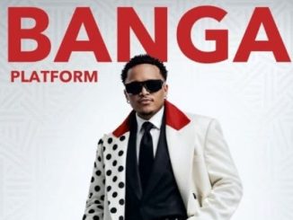DOWNLOAD MP3 Platform - Banga