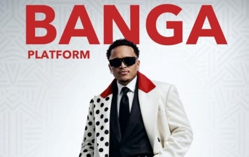 DOWNLOAD MP3 Platform - Banga
