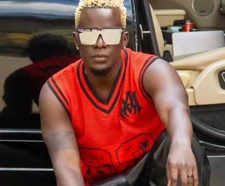 DOWNLOAD MP3 Willy Paul - Hii Design