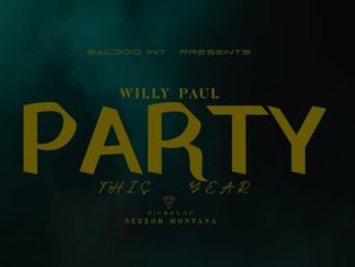 DOWNLOAD MP3 Willy Paul - Party This Year (Double Double)