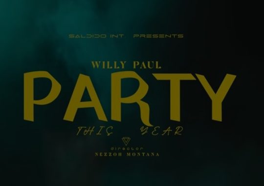 DOWNLOAD MP3 Willy Paul - Party This Year (Double Double)
