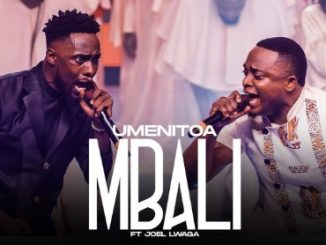 DOWNLOAD MP3 Zoravo - Umenitoa Mbali Ft Joel Lwaga