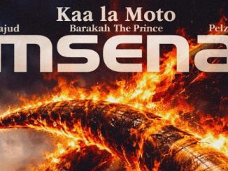 AUDIO Kaa La Moto - Msena Ft Barakah The Prince X Hajud X Pelzy Never Mind