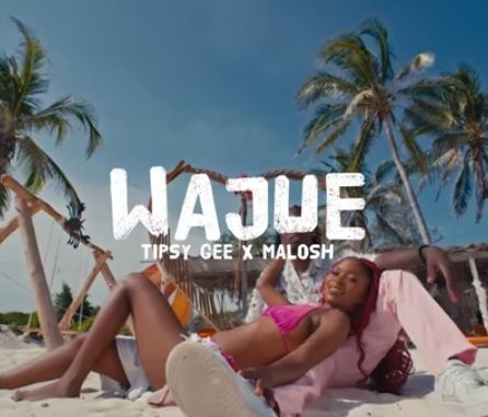 DOWNLOAD MP3 Tipsy Gee - Wajue Ft Malosh