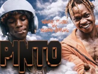 AUDIO Wakuu Music - Pinto Ft Zzero Sufuri
