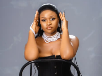 DOWNLOAD MP3 Appy - Huyu Hapa