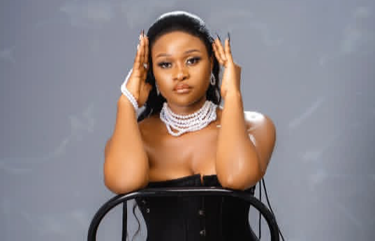 DOWNLOAD MP3 Appy - Huyu Hapa