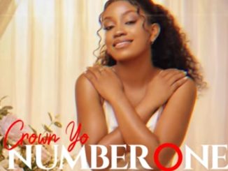 DOWNLOAD MP3 Crown Yo - Number One