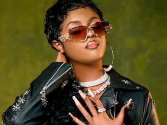 DOWNLOAD MP3 Marina - Paje