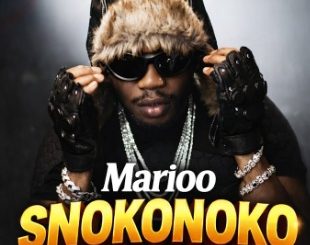 DOWNLOAD MP3 Marioo - Snokonoko ll