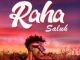 DOWNLOAD MP3 Saluh - Raha