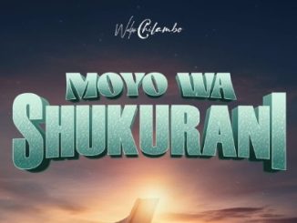 DOWNLOAD MP3 Walter Chilambo - Moyo Wa Shukrani