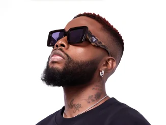 DJ Schwaz - Road Trip Essentials 30 Mix MP3 DOWNLOAD