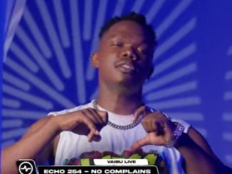 DOWNLOAD MP3 Echo 254 - No Complains