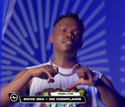 DOWNLOAD MP3 Echo 254 - No Complains