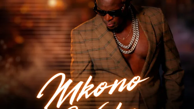 DOWNLOAD MP3 Willy Paul - Mkono Wako