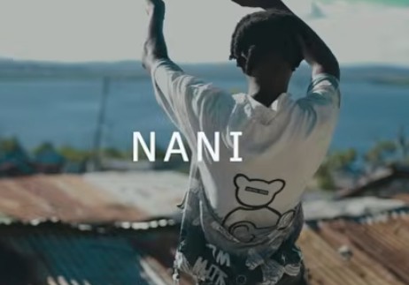 AUDIO Pelzy Never Mind - Nani Ft Kamanda Pedeshee