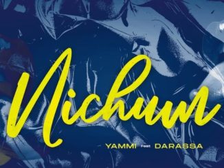 AUDIO Yammi - Nichum Ft Darassa DOWNLOAD