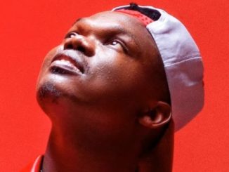 DOWNLOAD MP3 Echo 254 - Kapuni