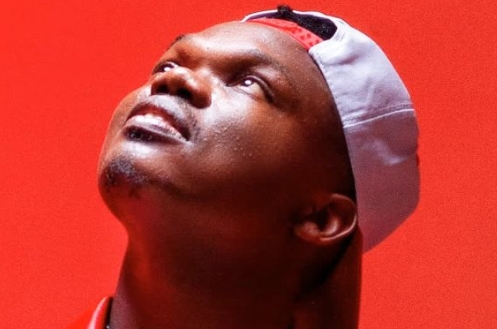 DOWNLOAD MP3 Echo 254 - Kapuni