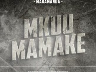 DOWNLOAD MP3 Makamanda - Mkuu Mamake