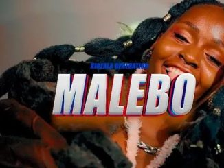 AUDIO Kiazala Generation - Malebo Ft Leocastor X Tonny Newton