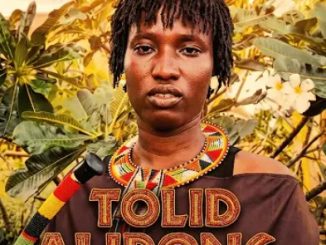 DOWNLOAD MP3 Dufla Diligon - Tolid Alipong
