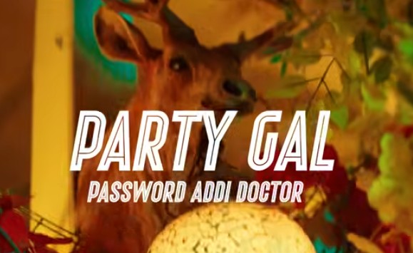DOWNLOAD MP3 Password Addi Doctor - Party Girl