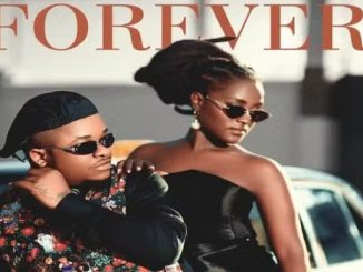 DOWNLOAD MP3 Whozu - Forever
